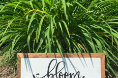 bloom WHERE YOU ARE PLANTED  | 15.5" x 7.5" | $18